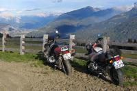 2004 - Venetalm - Artgerechte Haltung: Pferdchen gehören auf die Koppel ;-) 2004-Venetalm-IMG_1693.jpg