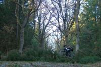 2007 - MTB-Tour nach Sturm Kyrill 2007-Kyrill-CIMG4034.jpg